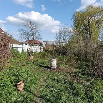 Продается Участок, 70500 м²