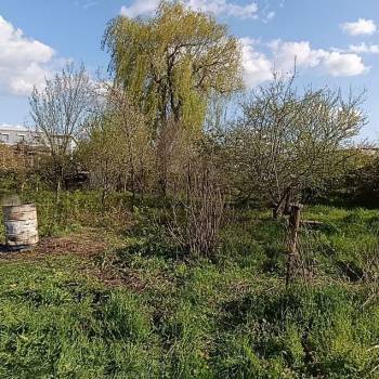 Продается Участок, 70500 м²