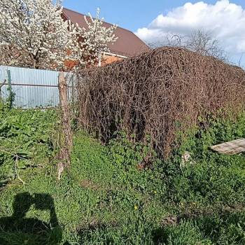 Продается Участок, 70500 м²