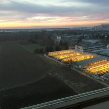 Сдается 1-комнатная квартира, 40 м²