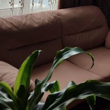 Продается 2-х комнатная квартира, 66,3 м²