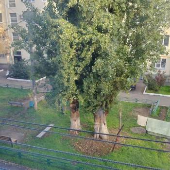 Сдается Комната, 0 м²