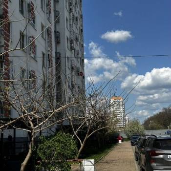 Сдается Нежилое помещение, 18,3 м²