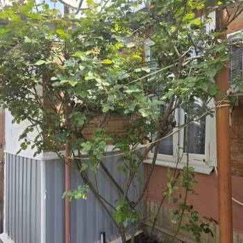 Продается Дом, 40 м²