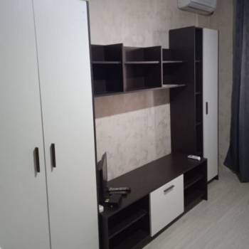 Сдается 1-комнатная квартира, 24,5 м²