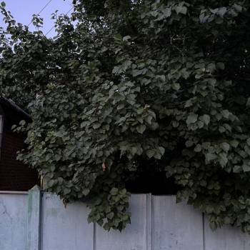Сдается Дом, 75 м²