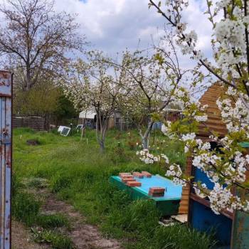 Продается Участок, 600 м²