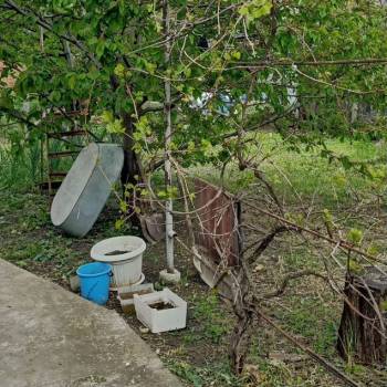 Сдается Дом, 35 м²