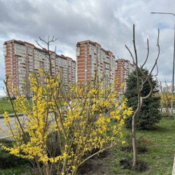 Продается 2-х комнатная квартира, 61,6 м²