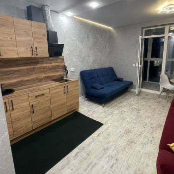 Сдается 1-комнатная квартира, 24,1 м²