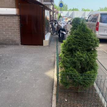 Сдается Нежилое помещение, 35,8 м²