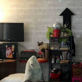 Сдается 1-комнатная квартира, 26 м²