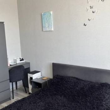 Сдается 1-комнатная квартира, 27,8 м²