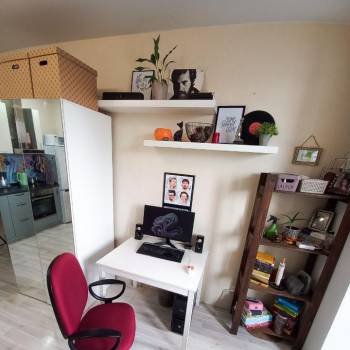 Продается 1-комнатная квартира, 24,3 м²