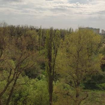 Сдается 1-комнатная квартира, 44 м²