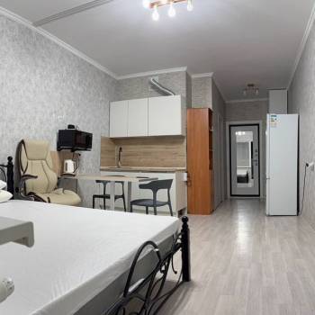 Сдается 1-комнатная квартира, 23,1 м²
