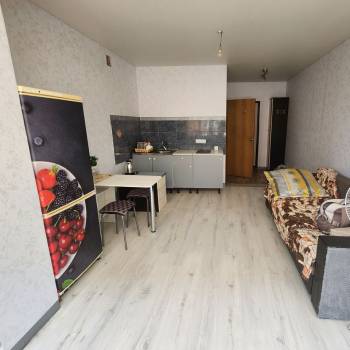 Сдается 1-комнатная квартира, 23,8 м²