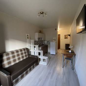 Сдается 1-комнатная квартира, 24,1 м²