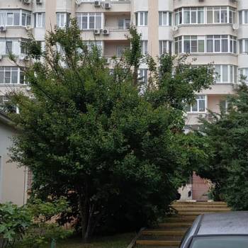 Продается 1-комнатная квартира, 52,4 м²