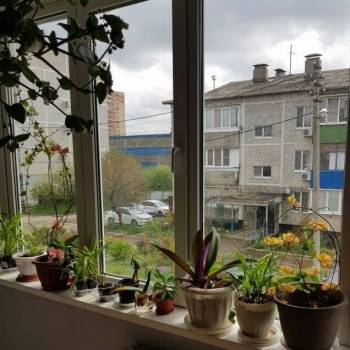 Сдается Многокомнатная квартира, 79,3 м²