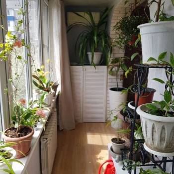 Сдается Многокомнатная квартира, 79,3 м²