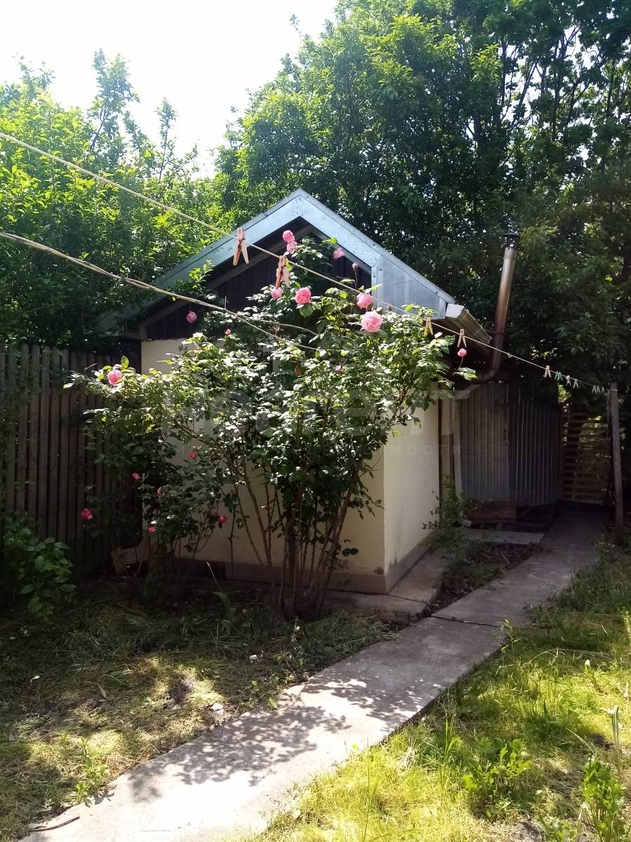 Фотография №17