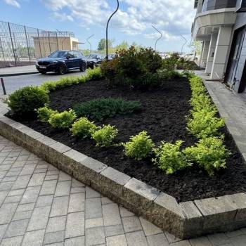Сдается Нежилое помещение, 50 м²