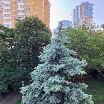Сдается Комната, 20 м²