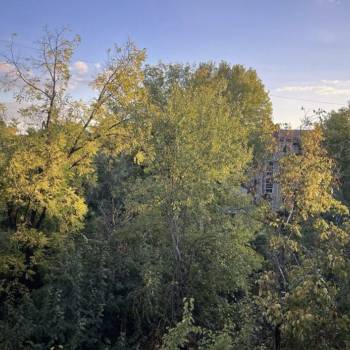 Продается 2-х комнатная квартира, 44 м²