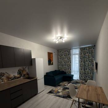 Сдается 1-комнатная квартира, 27,9 м²