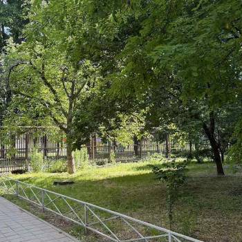 Сдается Многокомнатная квартира, 65 м²