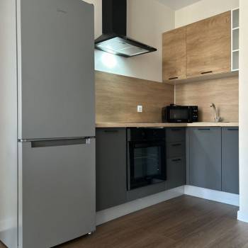 Сдается 1-комнатная квартира, 30,1 м²
