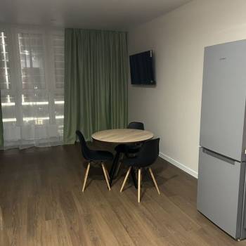 Сдается 1-комнатная квартира, 30,1 м²