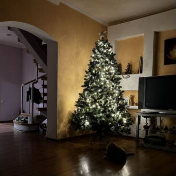 Сдается Дом, 104 м²
