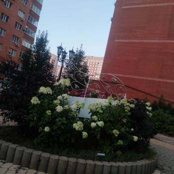 Сдается Многокомнатная квартира, 106 м²