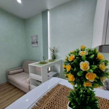 Сдается 1-комнатная квартира, 25 м²