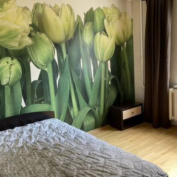 Сдается Комната, 14 м²
