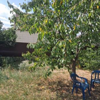Продается Участок, 420 м²