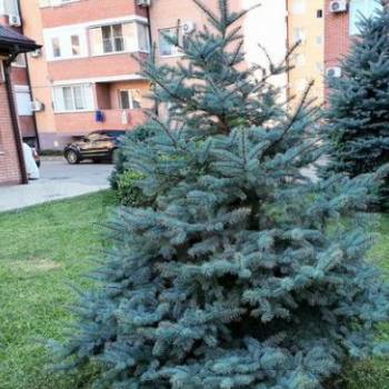 Продается 1-комнатная квартира, 38 м²