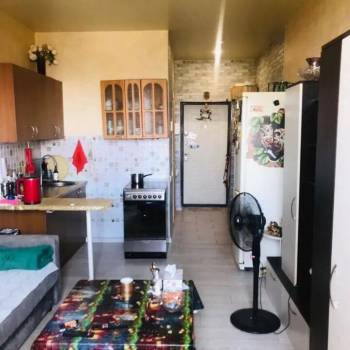 Продается 1-комнатная квартира, 22,4 м²