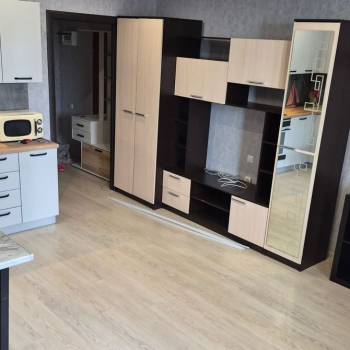 Сдается 1-комнатная квартира, 29,6 м²