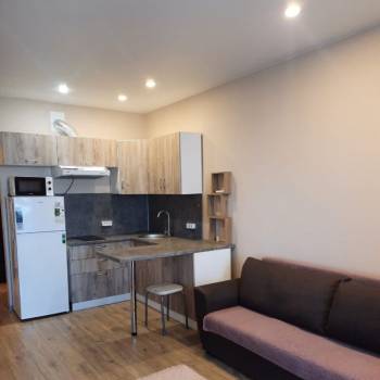 Сдается 1-комнатная квартира, 26,5 м²