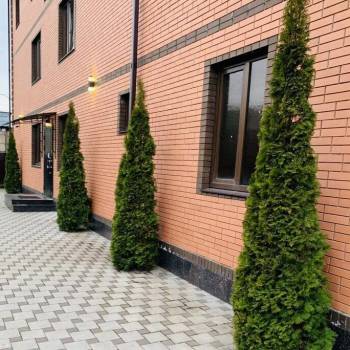 Сдается 1-комнатная квартира, 28 м²