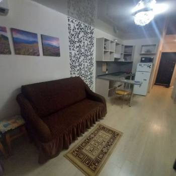 Сдается 1-комнатная квартира, 24,4 м²