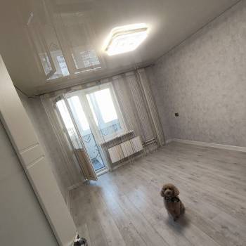 Сдается 2-х комнатная квартира, 65 м²