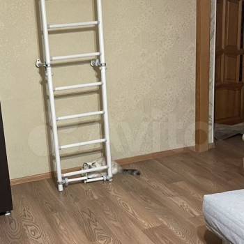 Продается 3-х комнатная квартира, 56,7 м²