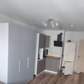 Сдается 1-комнатная квартира, 23,9 м²