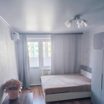 Сдается 1-комнатная квартира, 23,9 м²