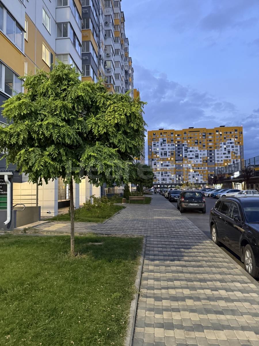 Фотография №12