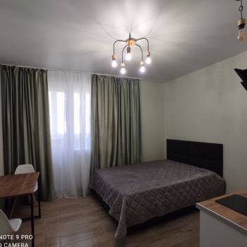 Сдается 1-комнатная квартира, 20,5 м²